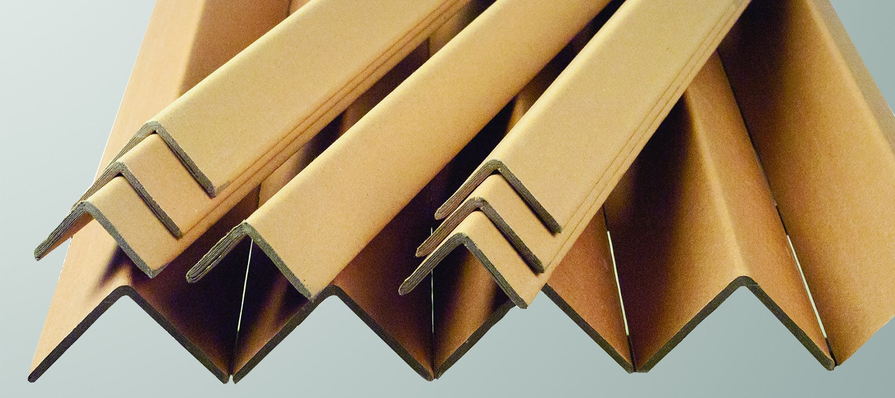 Paper Edge Protector